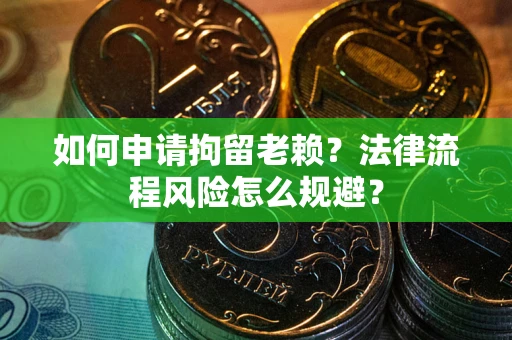 武汉如何申请拘留老赖？法律流程风险怎么规避？