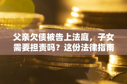 武汉父亲欠债被告上法庭，子女需要担责吗？这份法律指南必须看完