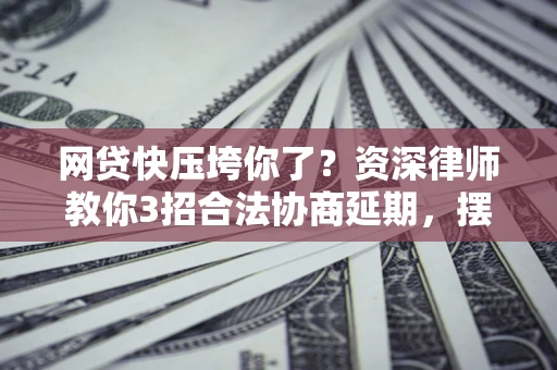 武汉网贷快压垮你了？资深律师教你3招合法协商延期，摆脱暴力催收！