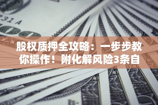 武汉股权质押全攻略：一步步教你操作！附化解风险3条自救法则