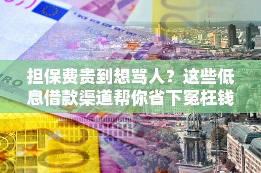 武汉担保费贵到想骂人？这些低息借款渠道帮你省下冤枉钱