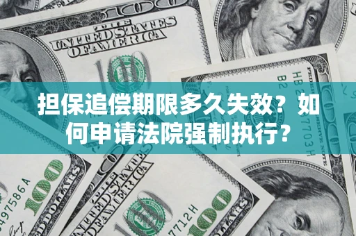 武汉担保追偿期限多久失效？如何申请法院强制执行？
