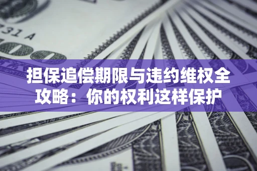 武汉担保追偿期限与违约维权全攻略：你的权利这样保护