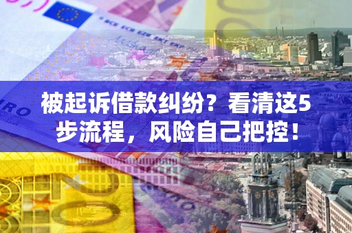 武汉被起诉借款纠纷？看清这5步流程，风险自己把控！