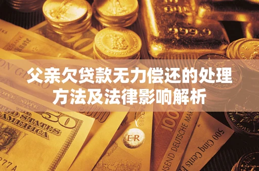 武汉父亲欠贷款无力偿还的处理方法及法律影响解析
